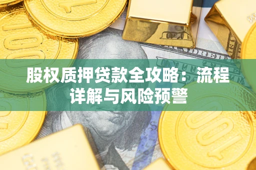 北京股权质押贷款全攻略：流程详解与风险预警