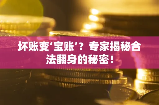 北京坏账变‘宝账’？专家揭秘合法翻身的秘密！