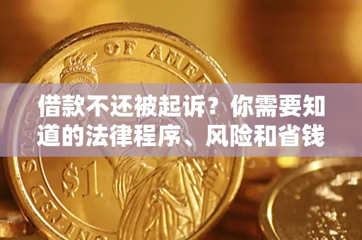 北京借款不还被起诉？你需要知道的法律程序、风险和省钱技巧